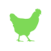 Poulet frais casher