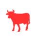 Viande fraîche Casher
